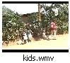 kids poaching avacados