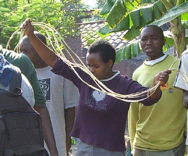 building the widow's house