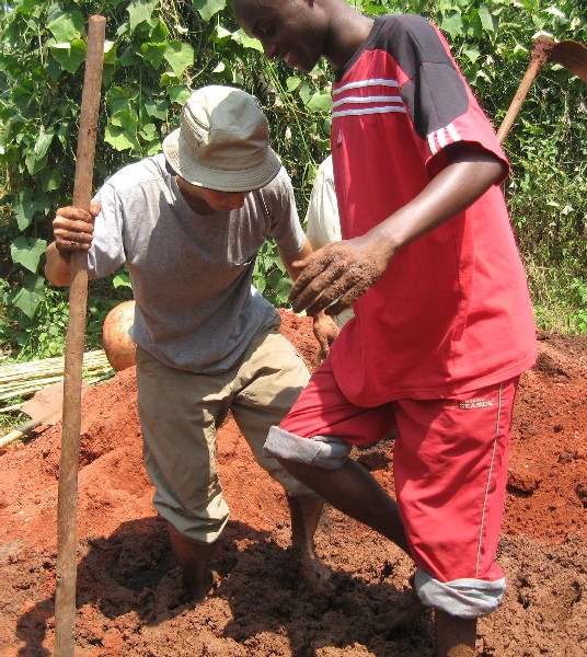 building the widow's house