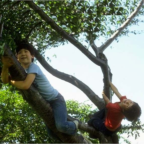 Zachary and Simon on tree in DC in 1983