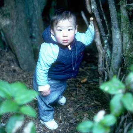 Zachary in a treetrunk ~ 1976