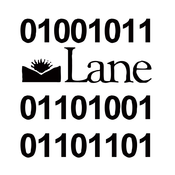 At Lane Community College, Kim learned programming.  The 0s & 1s are binary code for KIM.